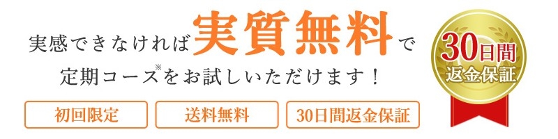 �i�O�v���X���T�C�g